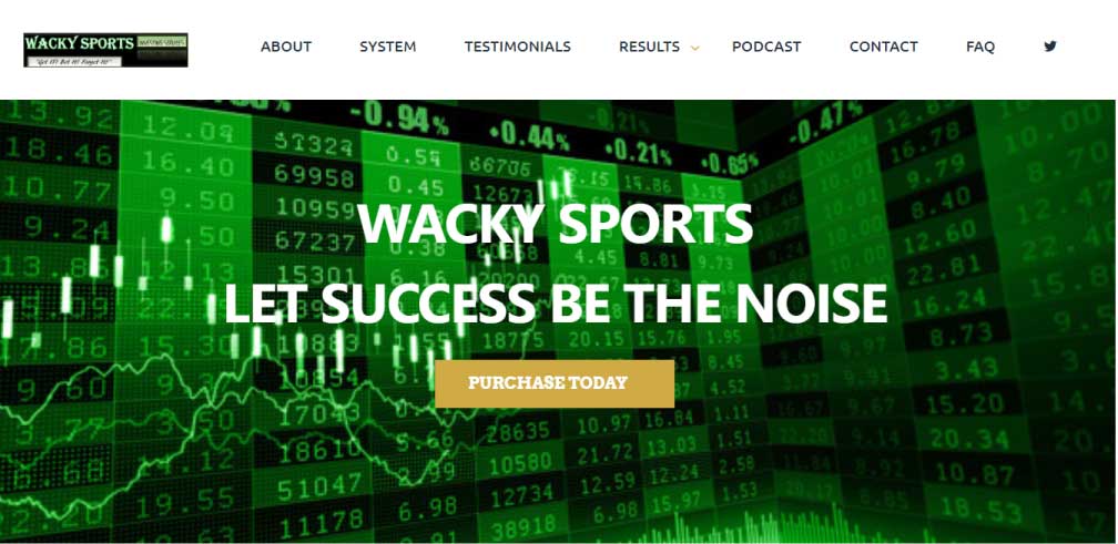 wacky sports website design