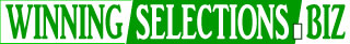 winning selections logo banner